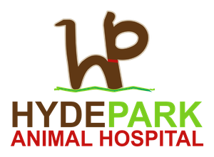Companion Hyde Park - Stony Island logo